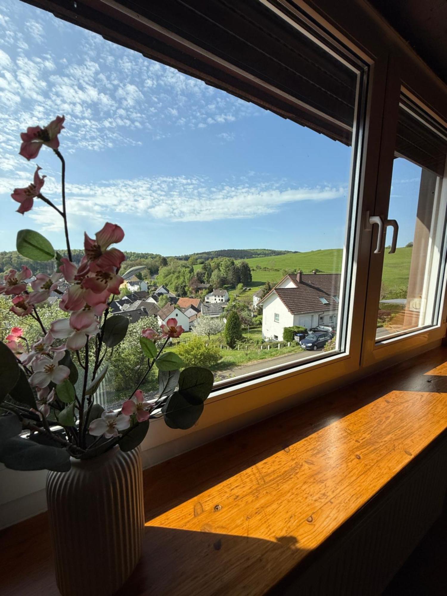Schwalbennest Apartment Daun
